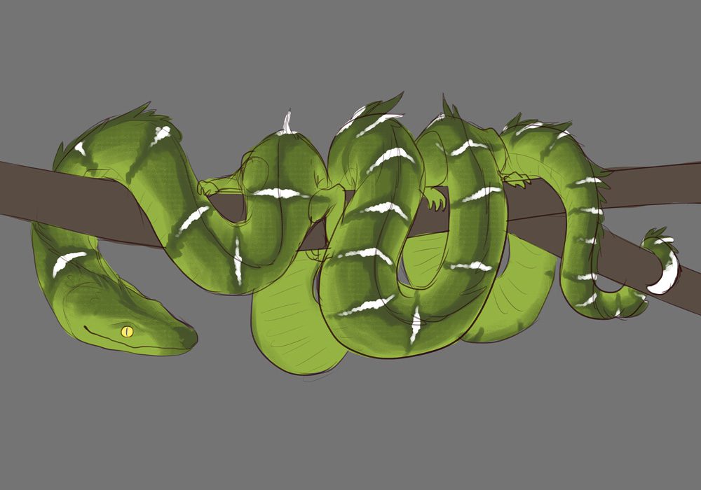 Visualizing dragons from Norse Mythology (1)