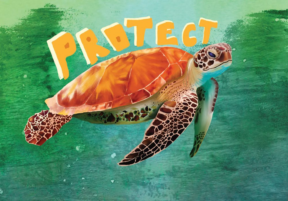 2Turtle