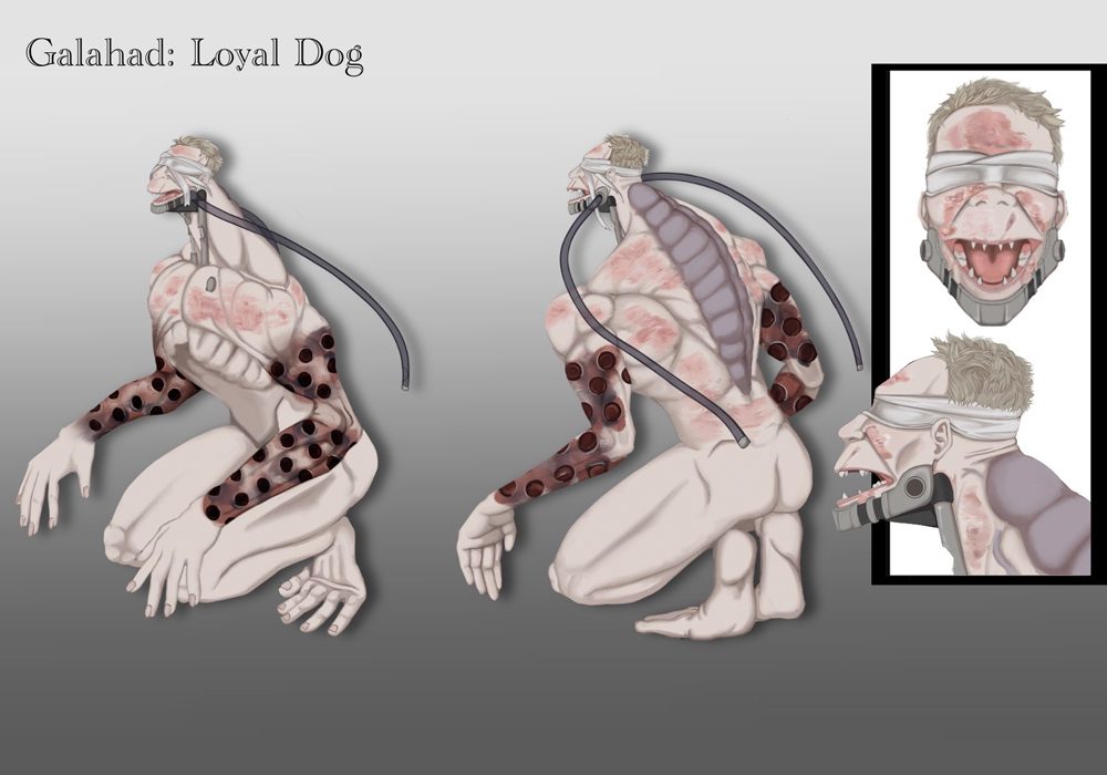 Jade-–-The-Drake-Warden-(Concept-Turn-Around-Sheet)