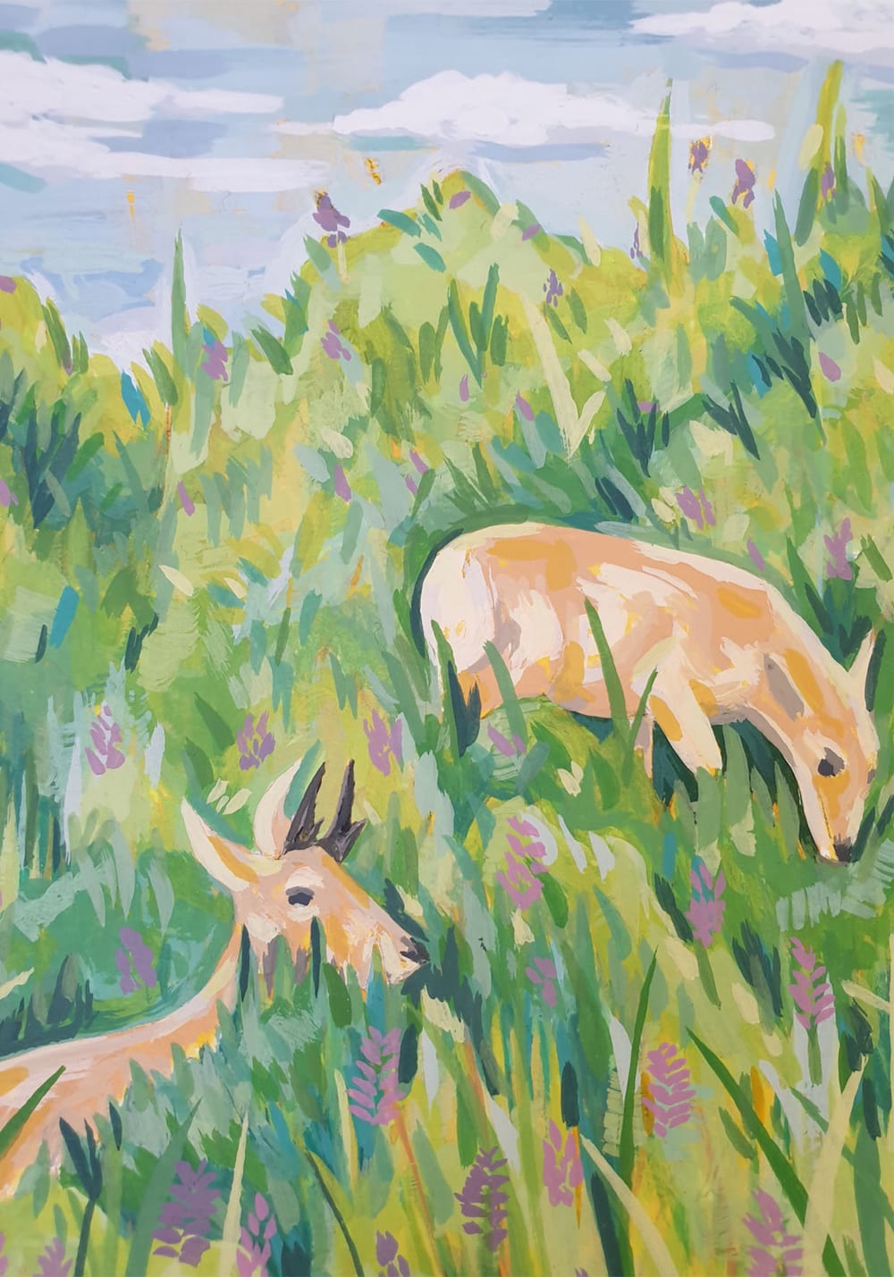Louisa Long rewilding