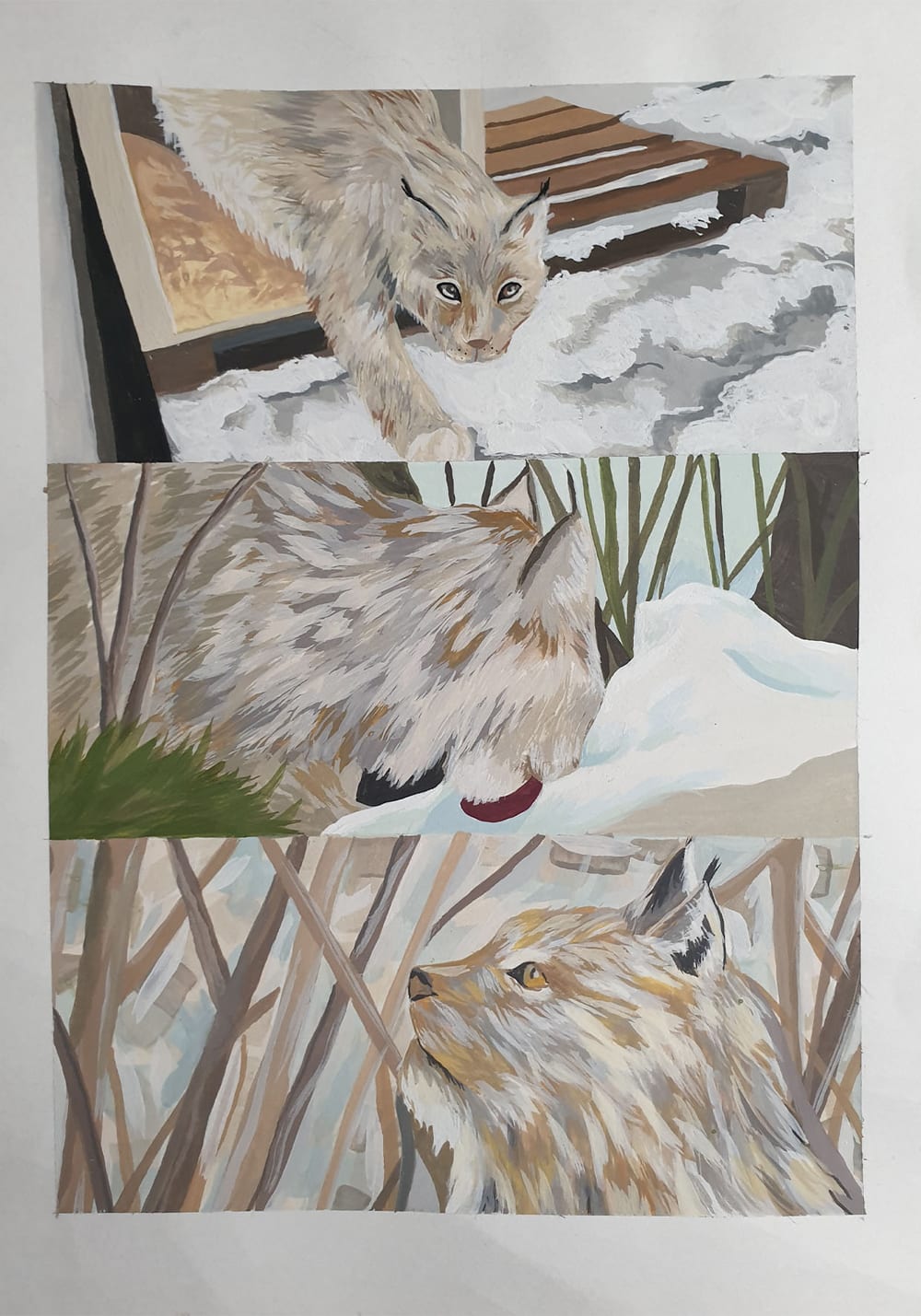 Louisa Long rewilding 2