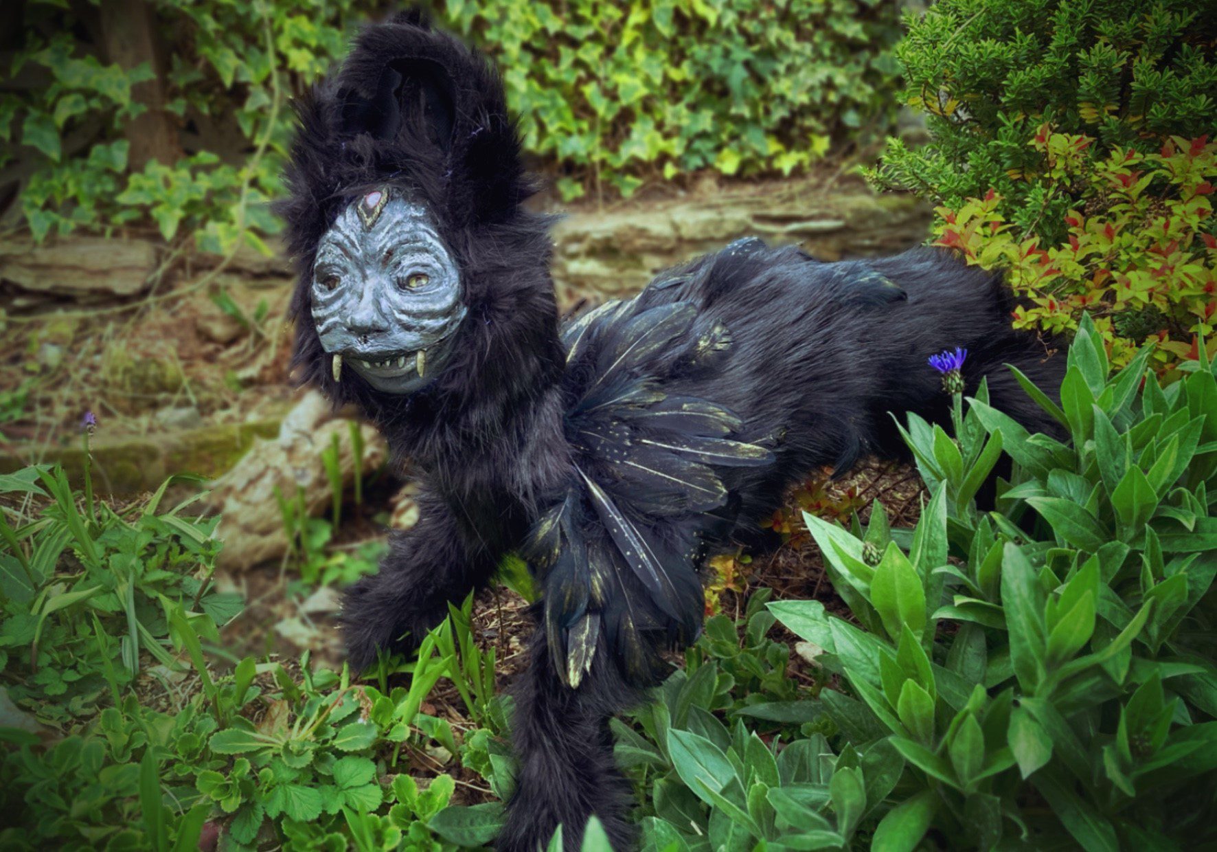 May The Forest Find Its Home In You