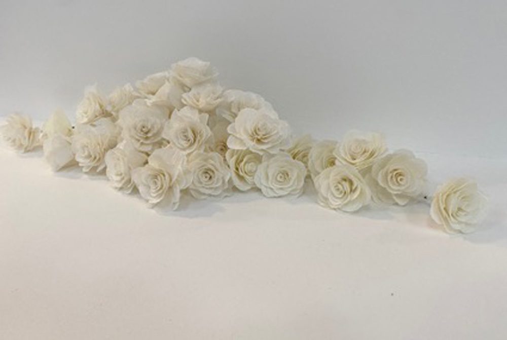 Paper Flowers