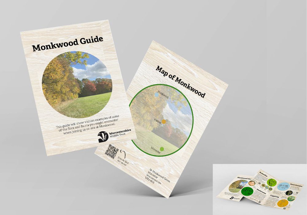 Phoebe Timmins Project 02 Green Design